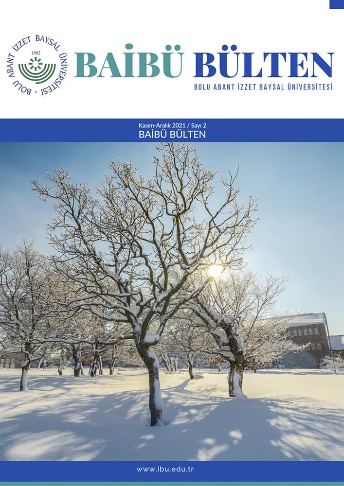 BAİBÜ Bülten 2